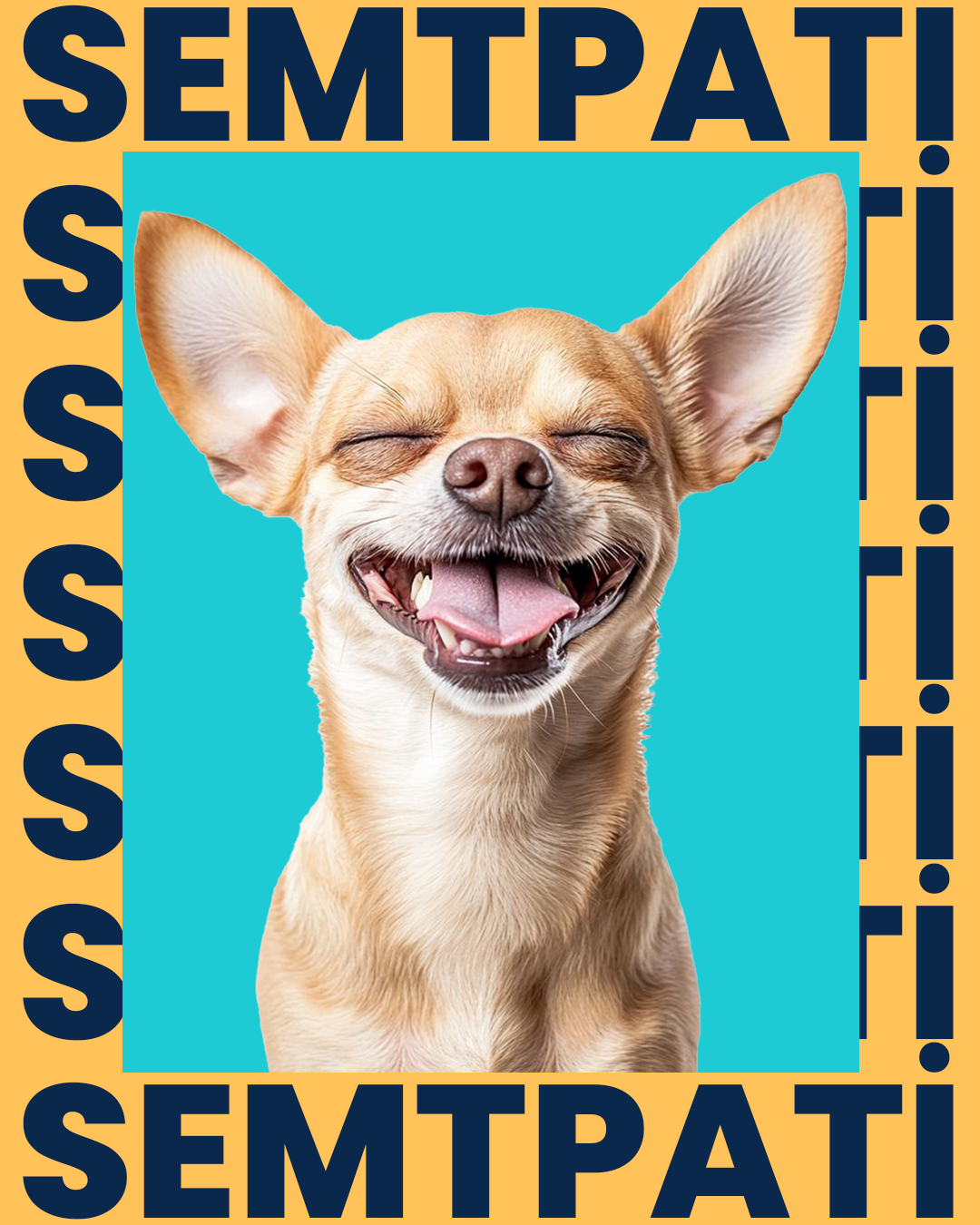 Visual Design project picture